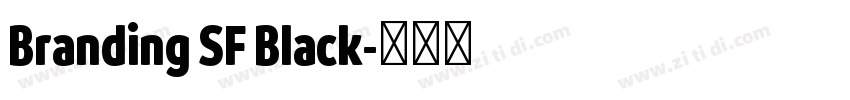 Branding SF Black字体转换